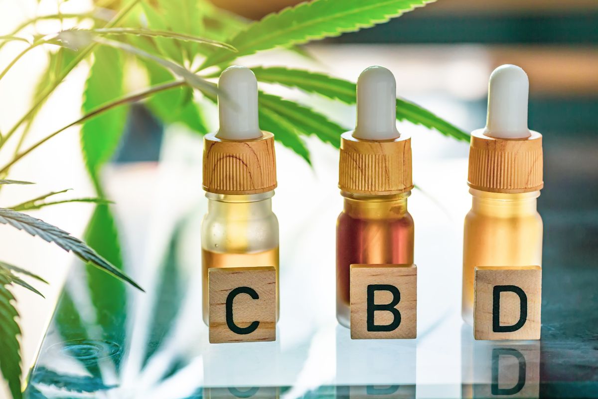 CBD 101: How to Choose the Right CBD Product for Your Lifestyle